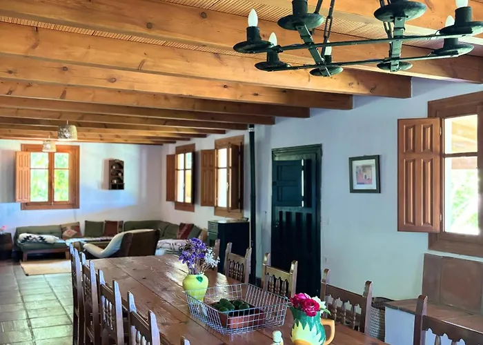 The Wild Olive Andalucia Agave Guestroom
