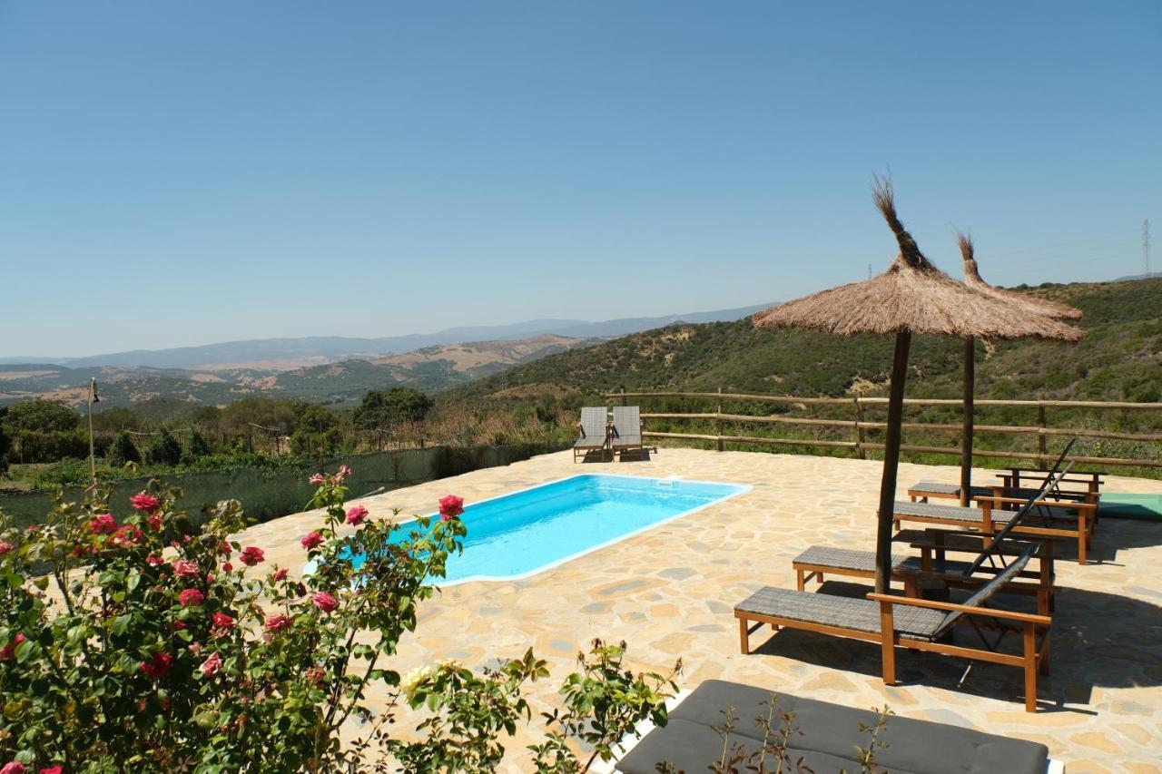 The Wild Olive Andalucia Agave Guestroom Alloggio per agriturismo