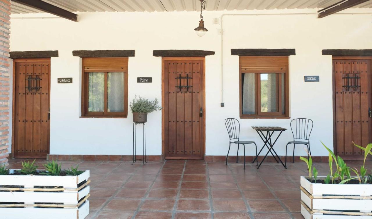 Bauernhof The Wild Olive Andalucia Agave Guestroom Casares