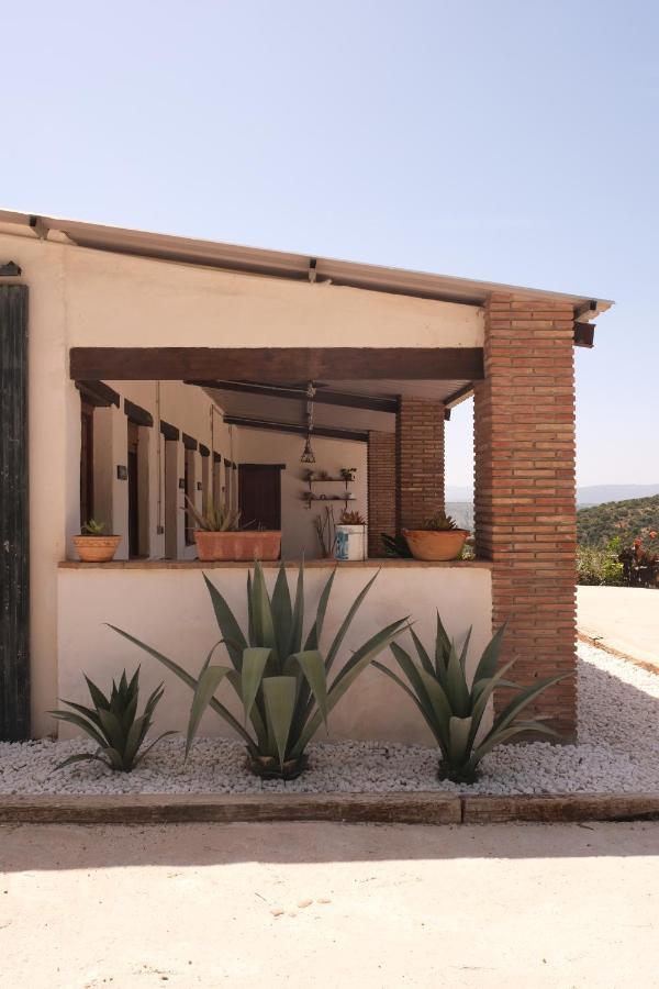 Bauernhof The Wild Olive Andalucia Agave Guestroom Casares